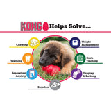 KONG Classic Dog Toy - Red