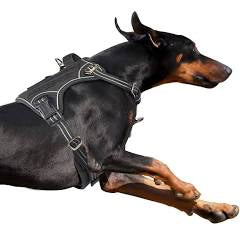 Bumbin Tactical Dog Harness - Black
