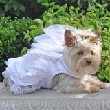 Dog Wedding Harness Dress Set