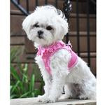 American River Choke Free Harness