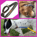 Bike Tow Leash AND PACKAGES FOR TRIKES