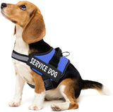 Paw-T Petz Service Dog Patch