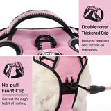 IVY&LANE No Pull Dog Harness for Small Dogs w/Matching Leash (Pink Size XS)