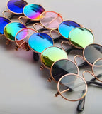 Paw-T Petz Classic Retro Circular Sunglasses