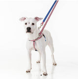 EarthStyle Star Spangled Freedom No-Pull Harness Only