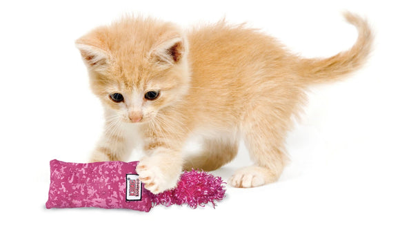 KONG Kitten Kickeroo Cat Toy - Assorted