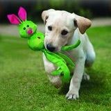 KONG Wubba Friends Ballistic Dog Toys - Assorted