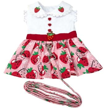 Strawberry Picnic Dress With Matching Leash