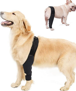 Petmingham Dog Knee Brace for Dog ACL,CCL, Knee Cap Dislocation, Arthritis - Joint&Knee Rehab