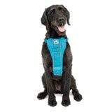 Kurgo Tru-Fit Smart Harness