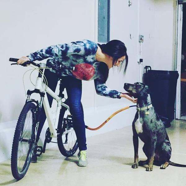 Bike Tow Leash AND PACKAGES FOR TRIKES Pups Path