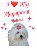 Magnificent Maltese (Human Shirt)