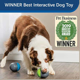 PetSafe Ricochet Dog Toy