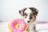 Donutz
