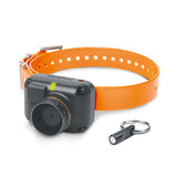 STB BEEPER COLLAR by Dogtra