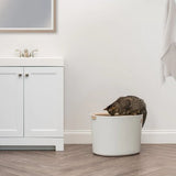 Top Entry Litter Box