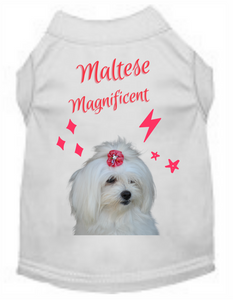 Magnificent Maltese (Pet Shirt)