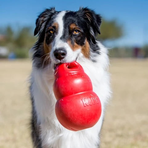 KONG Bounzer Ultra