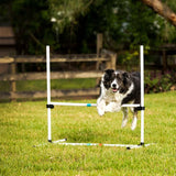 Middlee Dog Agility Beginner Set (Hoop Poles Bar Jump)