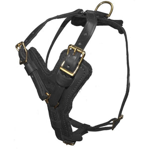 Typhoon Leather Working Dog Harness, Brass Hardware