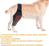 Petmingham Dog Knee Brace for Dog ACL,CCL, Knee Cap Dislocation, Arthritis - Joint&Knee Rehab