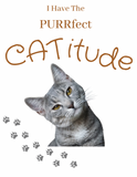 Purrfect Catitude (Human Shirt)