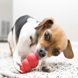 KONG Classic Dog Toy - Red