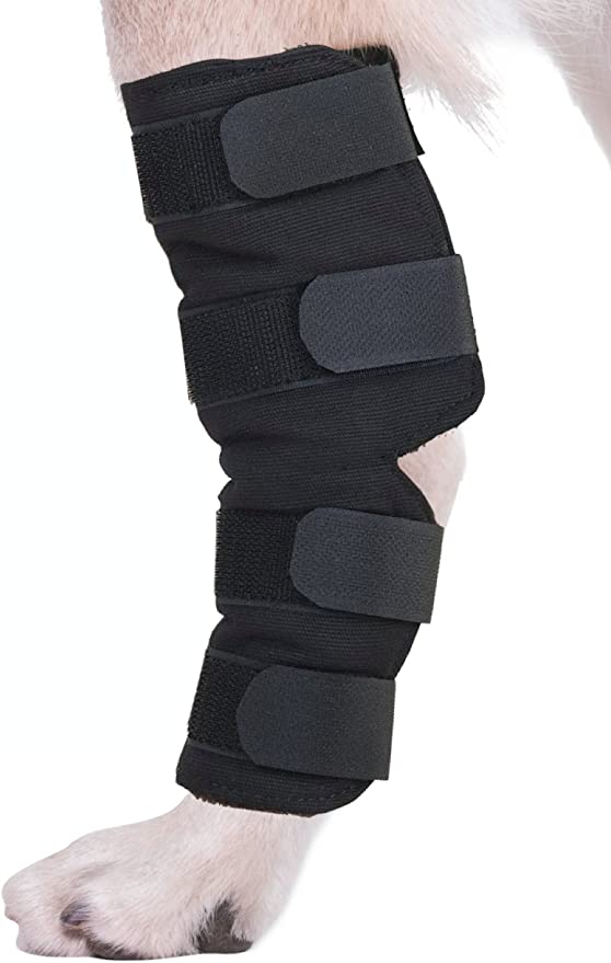 AGON® Canine Dog Hock Brace Rear Leg