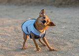 Zippy Paws Cooling Vest