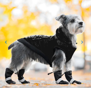 Soft Shield dog Boots by Canada Pooch