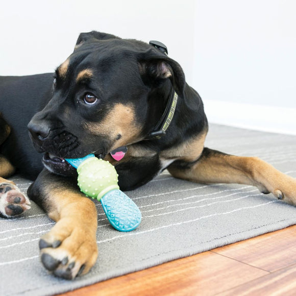 KONG Core Strength Bow Tie