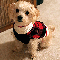 Plaid Sweater Red/Black