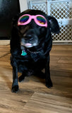 Paw-T Petz Spotz Spexx Pet Sunglasses