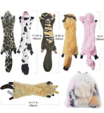 Sharlovy Crinkle Toy