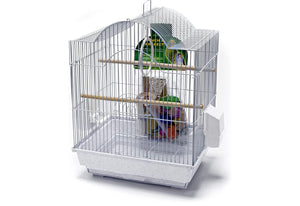 Penn Pax Parakeet Starter Kit