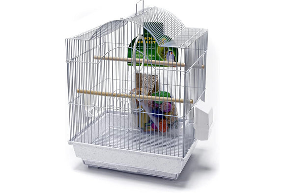 Penn Pax Parakeet Starter Kit