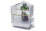 Penn Pax Parakeet Starter Kit
