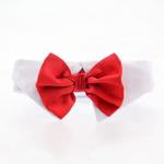 White Collar Bow Tie Set with 4 Interchangeable Bows