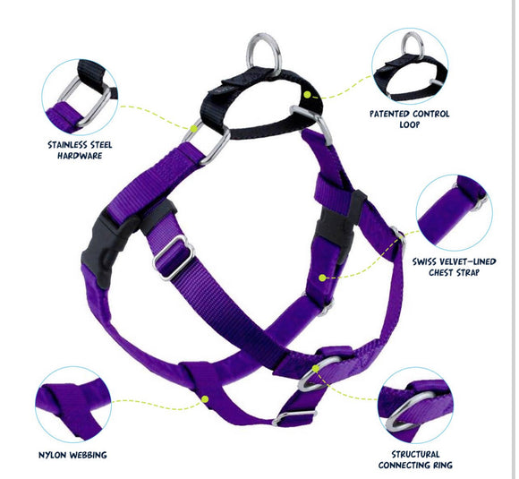 Purple Freedom No-Pull Dog Harness