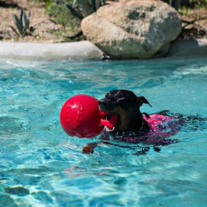 Jolly Ball Tug N Toss (Horse Ball)