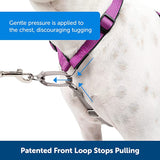 PetSafe 3 in 1 Dog Harness