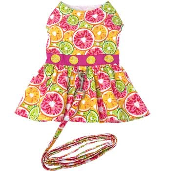 Citrus Slice Dress With Matching Leash