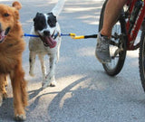 Dog Coupler For Biking & Walking (Bike Tow Leash)