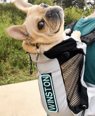 K9 store air sack